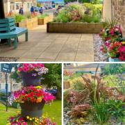 Flowers and plants have brightened up Gullane thanks to the work of local group Gullane Bloomers