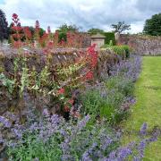 Lady Kitty's Garden in Haddington