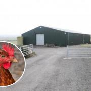 An existing chicken shed at Howden Farm
