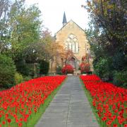 The display of poppies at St Andrew's High Church in Musselburgh. Photp: Angus Bathgate