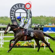 Horse racing returns to Musselburgh Racecourse this weekend. Image: Caledonia Photo