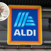 Aldi has launched an amazing selection of Mother’s Day flowers, designer dupe candles and scents