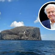The Bass Rock starred on the BBC's new nature show hosted by Sir David Attenborough