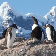 UKAHT is looking for new recruits to live and work in Antarctica