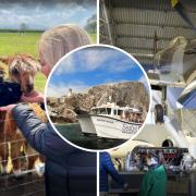 From the National Flight Museum to John Muir Alpacas, there is lots to do with the family in East Lothian this weekend