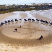 Members of the Household Cavalry, Blues and Royals, exercise their horses along the sands and in the sea at Yellowcraig Beach near North Berwick, East Lothian, after taking part earlier in the week at the Service of Thanksgiving for King Charles III in