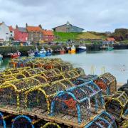 Dunbar Harbour - Copyright Brian Turner and licensed for reuse under this Creative Commons Licence