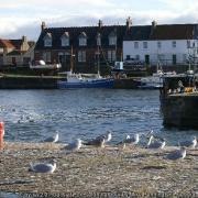Port Seton Harbour. Image copyright Mike Pennington and licensed for reuse under Creative Commons Licence