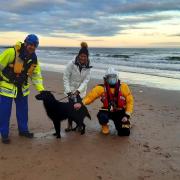 Retriever Fergus reunited with his owner after being rescued by Dunbar RNLI. Image: Kevin Davidson