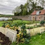 Example of work completed by Growing Matters at Gilmerton Estate