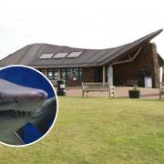 A virtual talk looking at the extinction threat to sharks has been organised by the Scottish Seabird Centre
