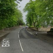 The tree was blown down on Station Road in Haddington. Image: Google Maps