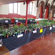 Musselburgh's annual plant sale is a popular event in the town's calendar