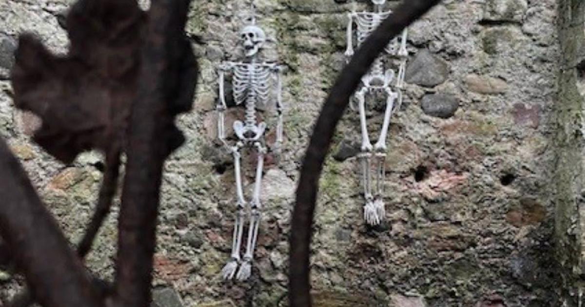 Spooktacular Halloween fun coming to historic East Lothian estate