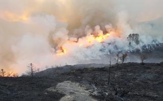 Wildfires can cause extensive damage