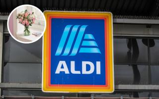 Aldi has launched an amazing selection of Mother’s Day flowers, designer dupe candles and scents