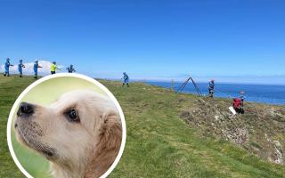 Dunbar Coastguard helped rescue a dog from a cliff in Eyemouth. Image: Eyemouth Coastguard Facebook
