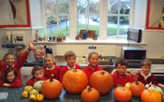 Pupils at Stenton Primary, grew and carved pumkins for Hallowe'en