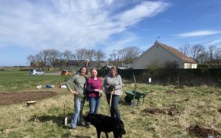 Co-chairpersons of Friends of Winterfield Sue Anderson and Esther Hughes, and the wildlife garden designer, Judy Miller, were among those busy at the Dunbar park